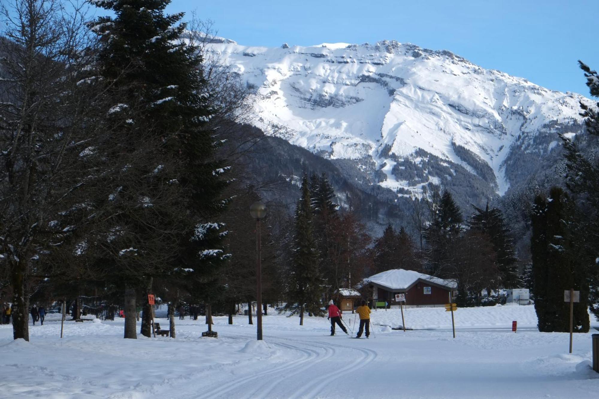 Particulier Loue 2 Appartements Communicants Dans Chalet A Samoens Jusqu A 16 Couchages Екстериор снимка